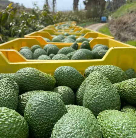 Loaded for the cold chain